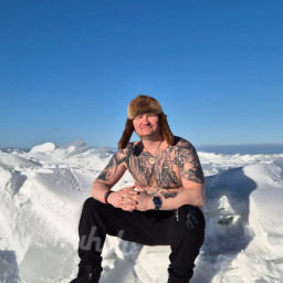 Рыжий кот, 43