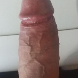 Jsonbjorn, 43