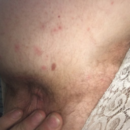 Piedavaju visu, 26