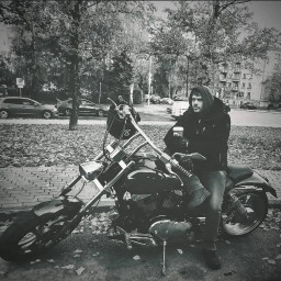 Vulf, 42