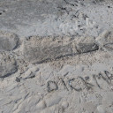 Dickman