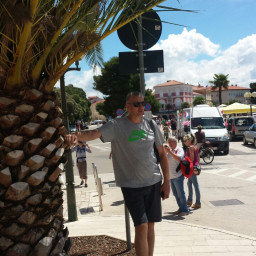 Mazylis, 51