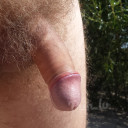 Bi gribulis