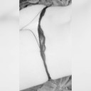 Aiga